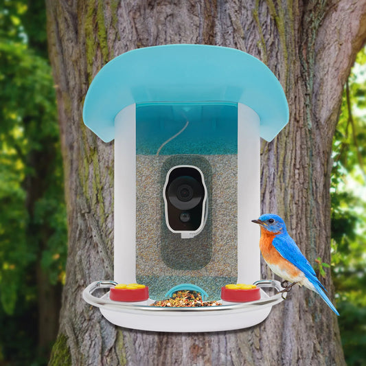 Smart Bird Feeder With Camera Auto Capture Solar Panel