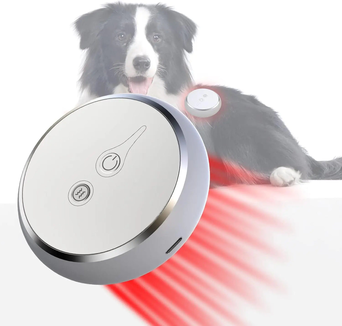 Portable Red Light Therapy Device For Pets Wavelengths 660nm And 810nm