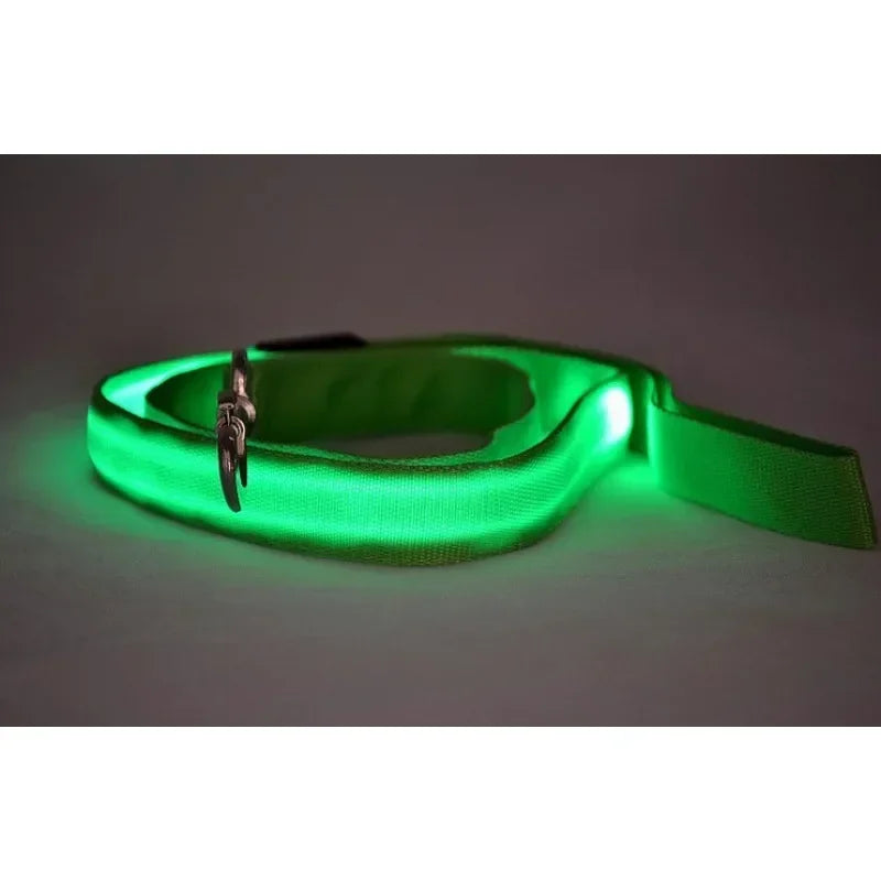 Luminous LED Dog Leash Harness for Safe Night Walks