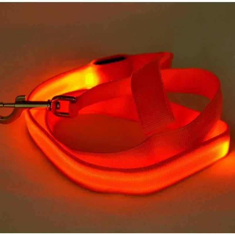 Luminous LED Dog Leash Harness for Safe Night Walks
