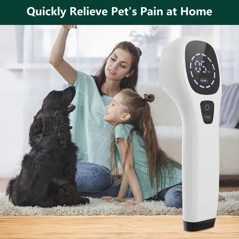 Dog 808nm Laser Therapy Device Red Light For Pain Relief