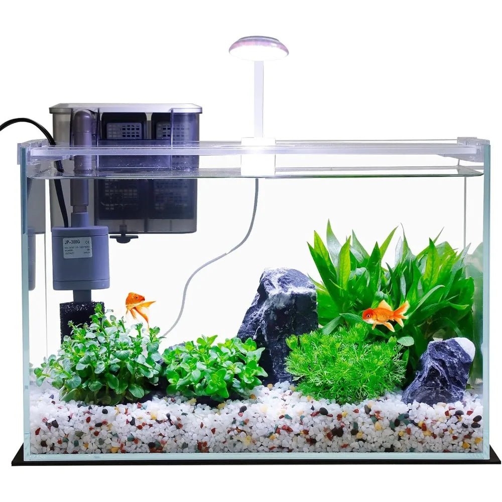 TIFICY Glass Betta Fish Tank Starter Kit With Filter And Lighting And Lid Made In US