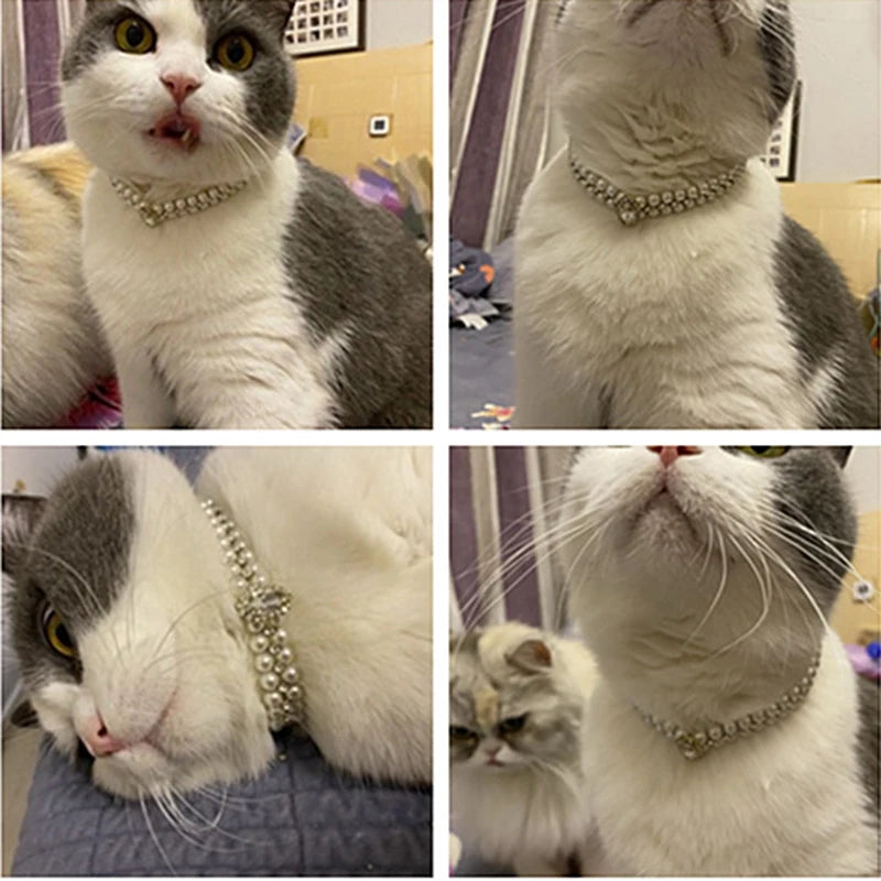 Luxury Pearl Rhinestone Pet Collar Necklace for Cats and Dogs