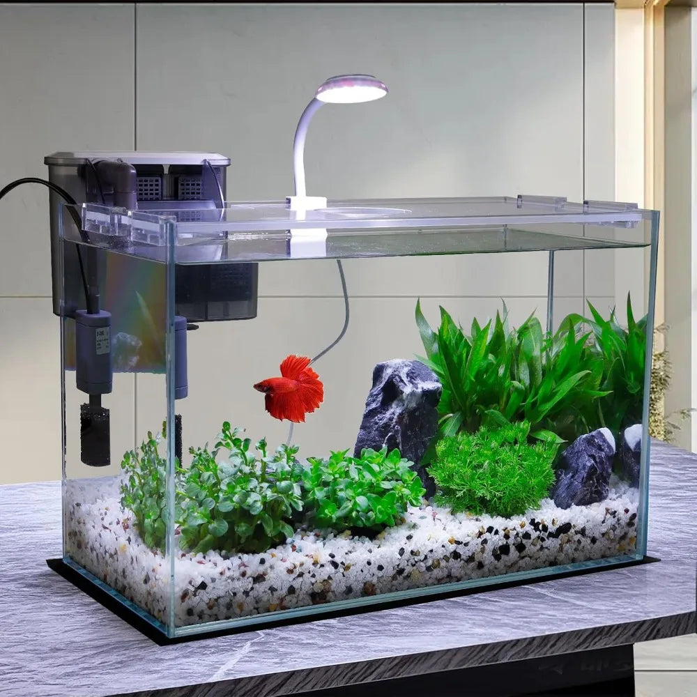 TIFICY Glass Betta Fish Tank Starter Kit With Filter And Lighting And Lid Made In US